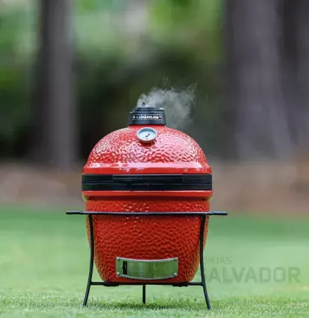 Kamado Joe Joe Junior 13 pulgadas foto 3