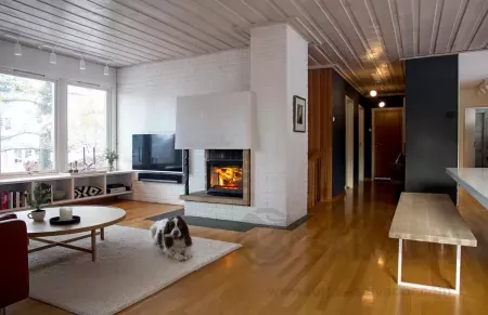 Jotul I520 FL FR 2 Cristales foto 6